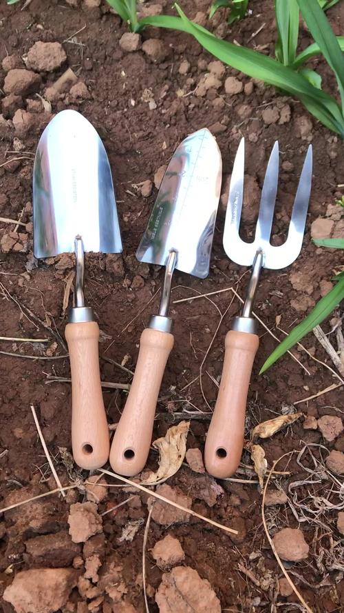 园艺铲子小铁锹盆栽家用花卉挖土铲园林栽花养花手铲叉工具三件套